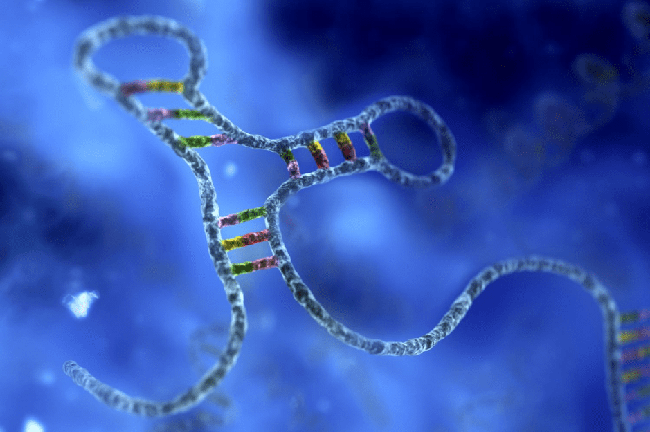The Promise of Long Non-Coding RNA