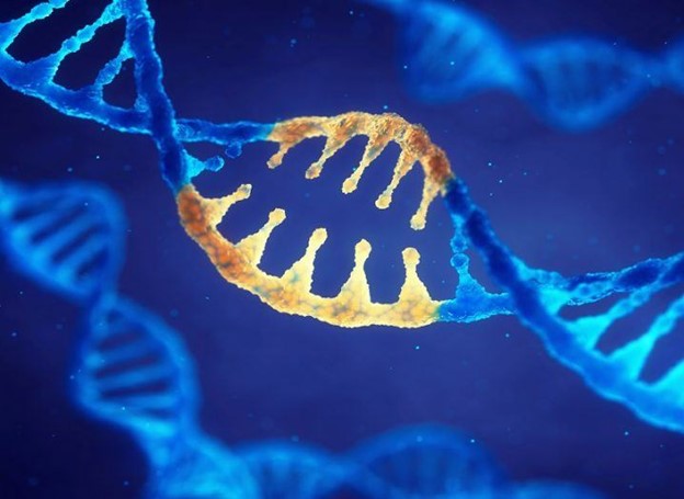 CRISPR – Past, Present & Future